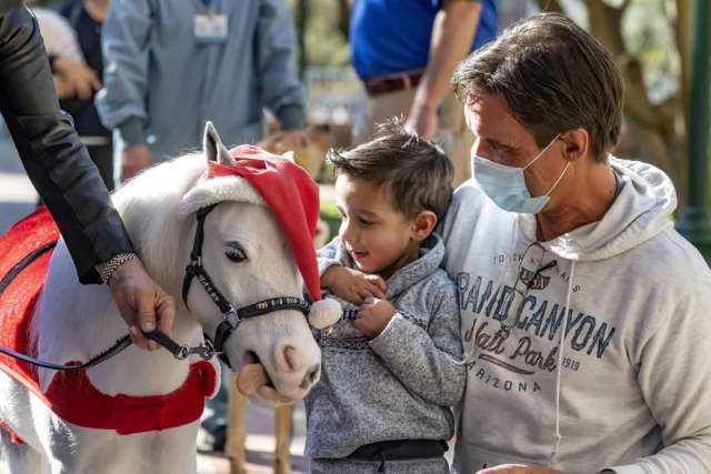 Child pets small pony while a masked adult watches