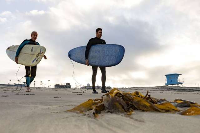 Dr. Sassoon and Robert Lombard carrying their surfboards down to the ocean