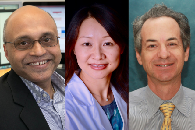 From left to right: Arjun Deb, M.D., Lili Yang, Ph.D. and Gerald S. Lipshutz, M.D.