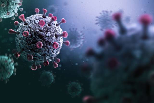 Rendering of a coronavirus