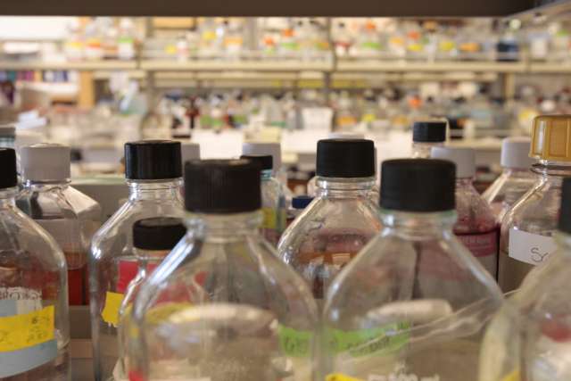 Bottles in the UCLA Health orthopedics lab