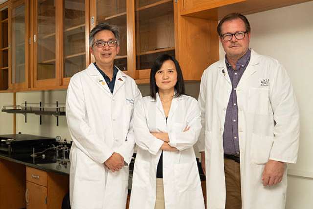UCLA cancer researchers Steven-Huy Han, Xianghong Jasmine Zhou and Samuel French