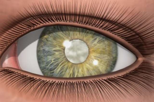 Video Library Ophthalmology