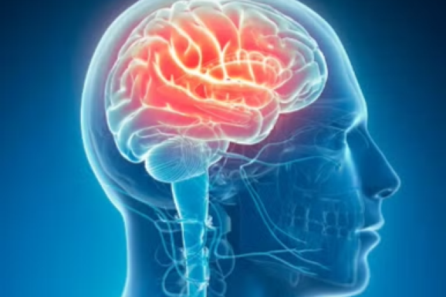 Illustration of a human brain highlighting areas in red against a dark background.