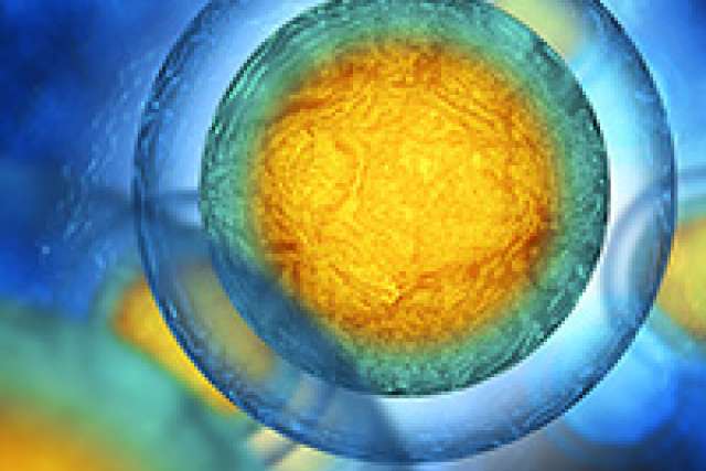 Magnified image of human cell