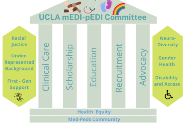 picture med peds residency edi program