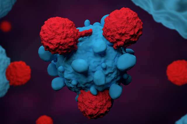 Illustration of T cells attacking a cancer cell