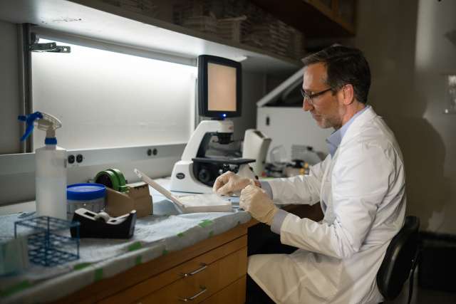 Antoni Ribas in the lab