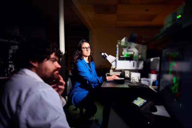 two researchers in a research lab looking at a computer screen, that's projecting what's under the microscope.