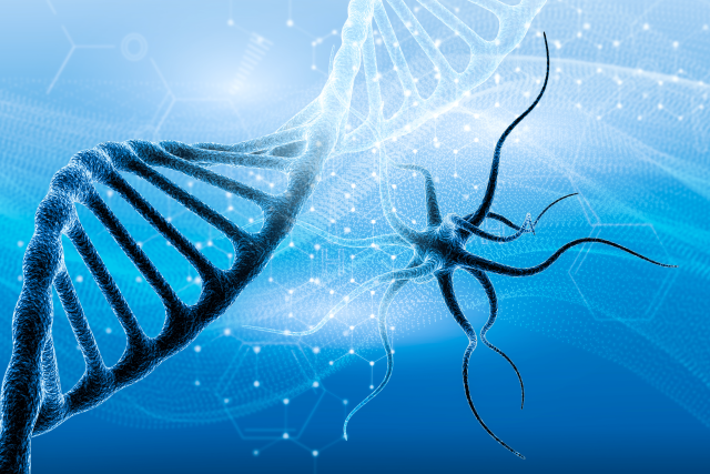 Illustration of DNA strands and immune cells representing biomedical and immunology research.