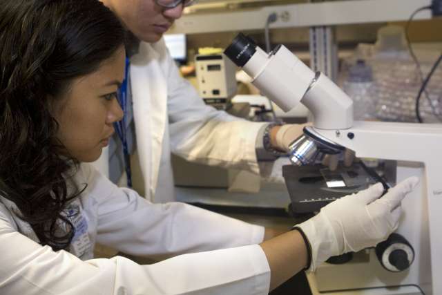 Doctors looking at Microscope