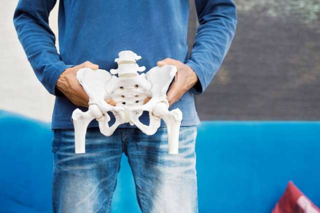 Person wearing a blue long-sleeve shirt and jeans holding a white anatomical pelvis model in front of the body.