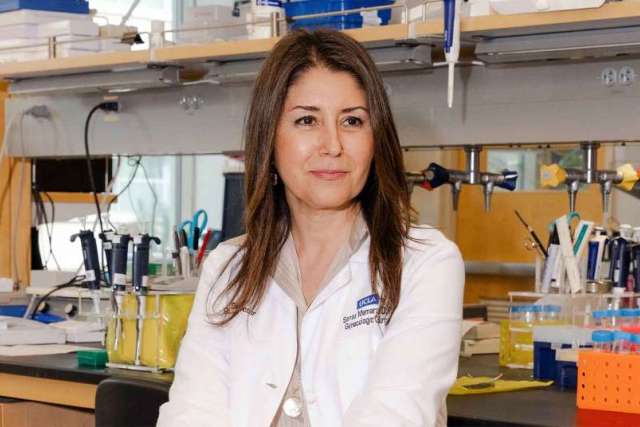 Dr. Sanaz Memarzadeh