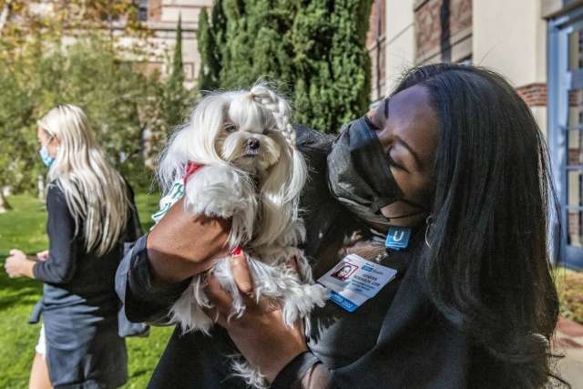 JS 2 holding small white dog outdoors, wearing a face mask