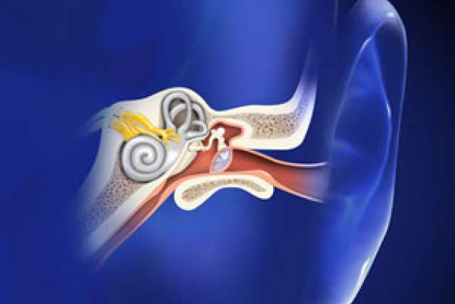 Video Library Ear, Nose and Throat