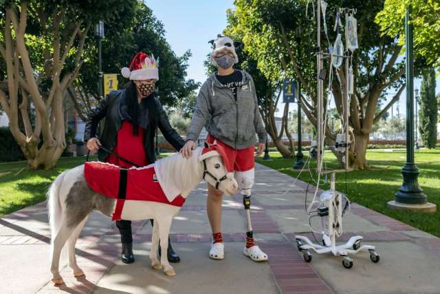 Two people with small horses wearing holiday coats on a park path