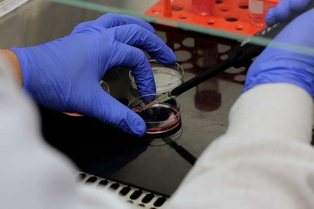 Lab members hands with petri dish