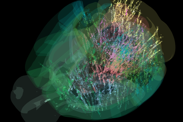 Brain-wide map showing 75,000 analysed neurons lighting up during different stages of decision-making.
