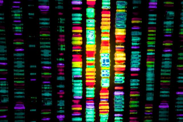Digital Representation of Human Genome 