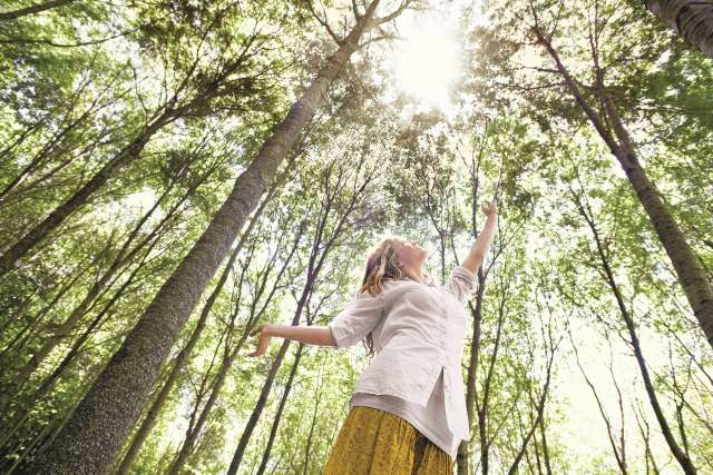 Woman in forest with arms stretched toward sun and trees