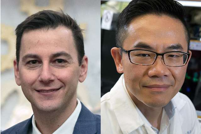 Cancer researchers Hsian-Rong Tseng and Vatche Agopian