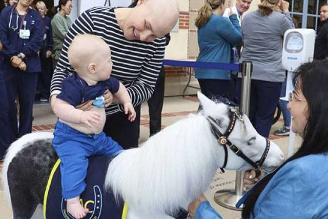 Child held by Robin Reader pets small white pony