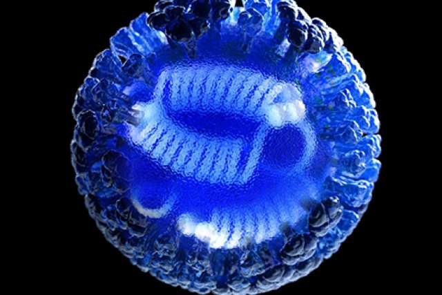 3D rendering of flu virus