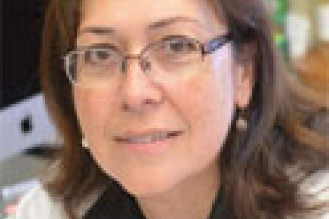 Luisa Iruela-Arispe, PhD