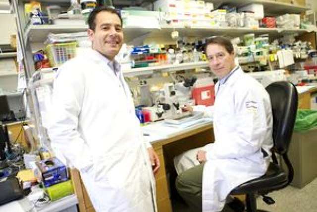 Two researchers in lab coats in a busy lab; one seated at a bench, one standing.