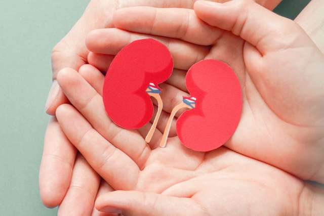 Adult and child holding kidney shaped paper on textured blue background