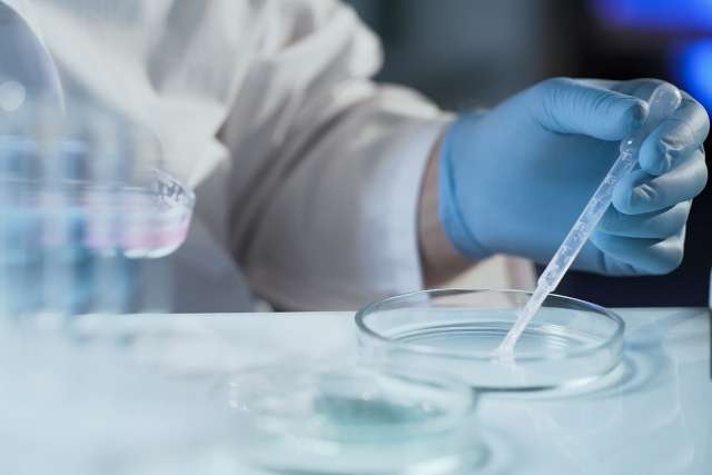 Fertilization in lab