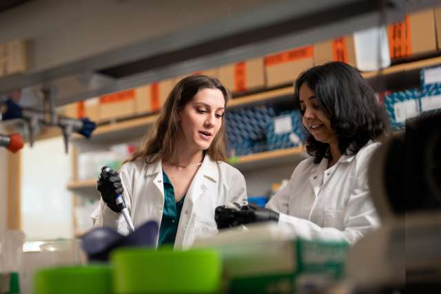 Cancer researchers collaborating in a UCLA lab