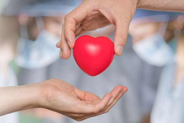 Heart transplant and organ donation concept.