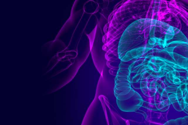 X-Ray Image of Human Body