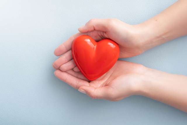 Female hands holding heart