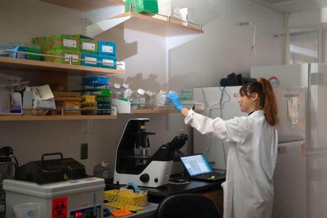 Young UCLA cancer researcher in the lab