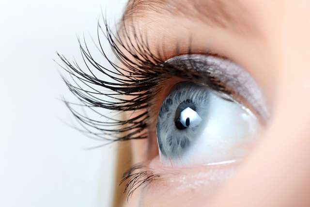 Female eye with long eyelashes close-up