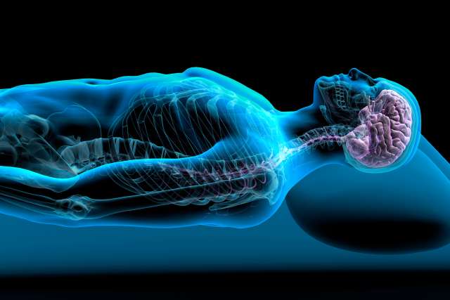 Man Sleeping X-ray Side View of Brain and Spine