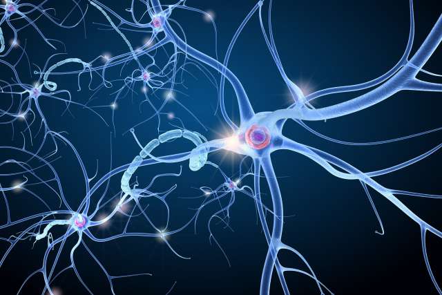 Nerve cell anatomy in details. 3D illustration