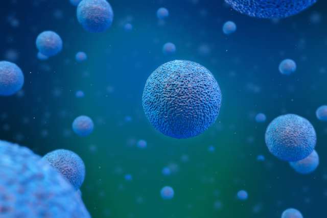 Cluster of cancer cells in the human body