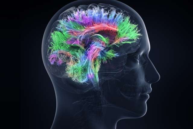 brain activity illustration