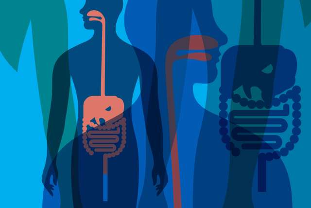 Colorful illustration of digestive system