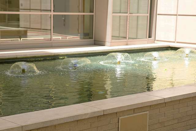 Gift of Life Fountain