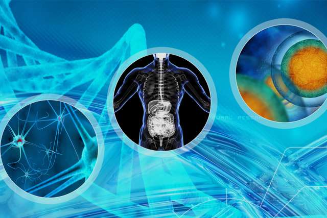 Collage of research program offerings