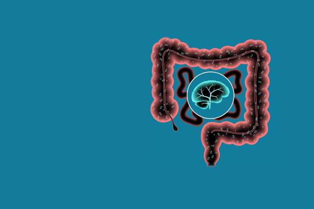 Illustration of digestive system