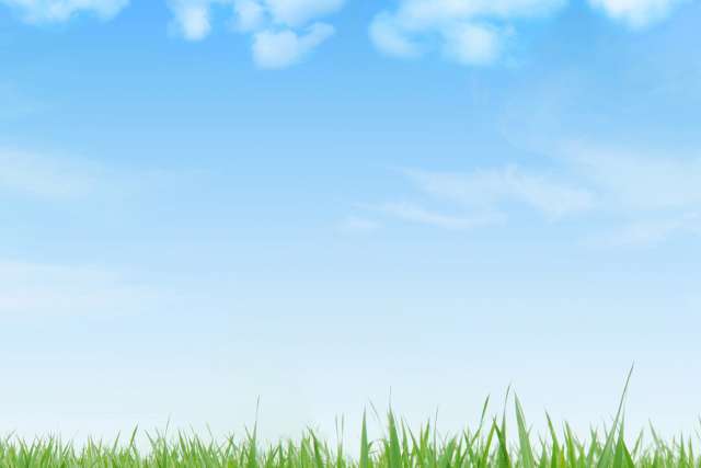 Bright sky above a fresh green lawn