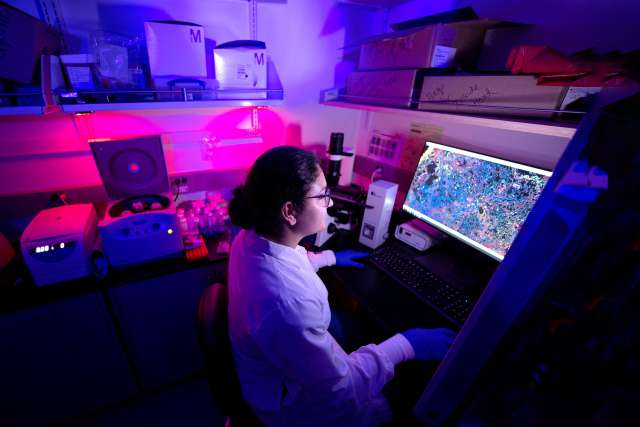 Young researcher in a UCLA Health Jonsson Comprehensive Cancer Center lab