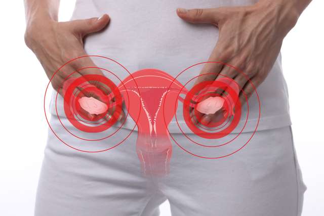 Woman's body with uterus and ovary illustration