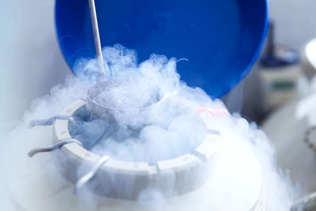 Egg cryopreservation