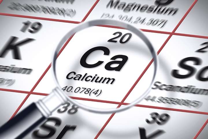 Calcium is key to bone health | UCLA Health